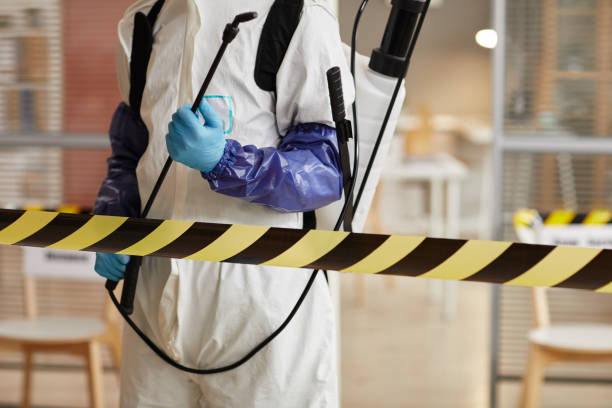 Professional Hoarding Cleanup technician working in Scituate, MA